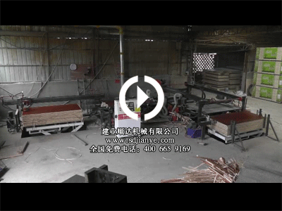 无人操作高档锯边机